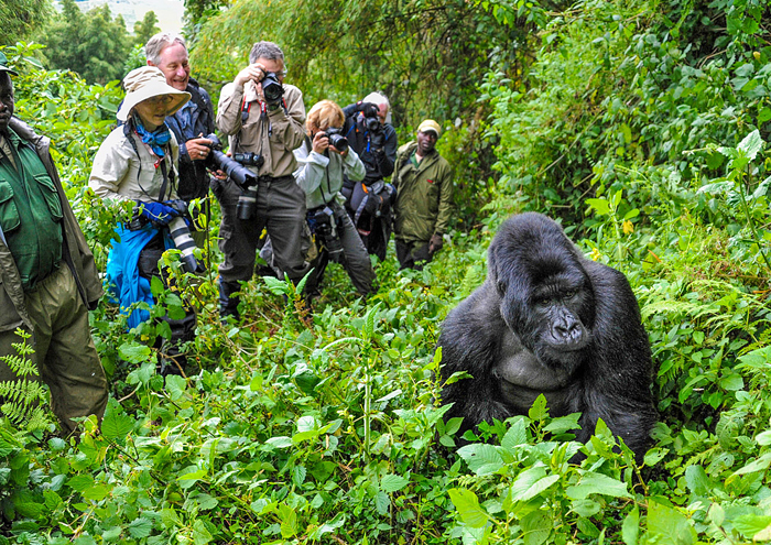 Image result for travel to uganda