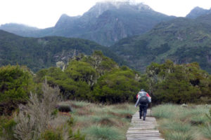 hiking-the-rwenzori-mountains1