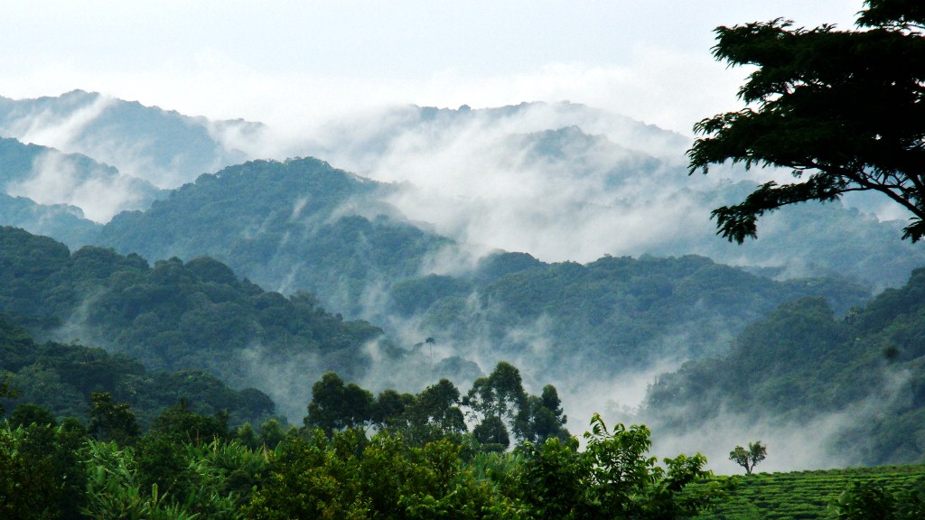 O Parque Nacional Impenetrável de Bwindi é uma das atrações mais inesquecíveis da África Oriental