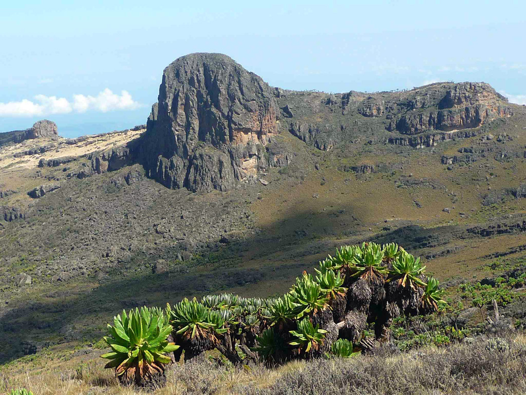 Mount Elgon among Africa   s magnificent mountains     CNN Uganda